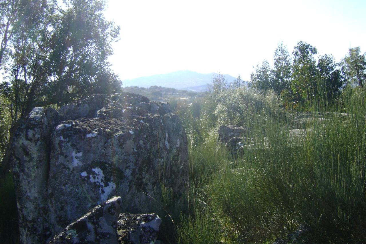 فيلا Tapada Da Beira Marvão المظهر الخارجي الصورة