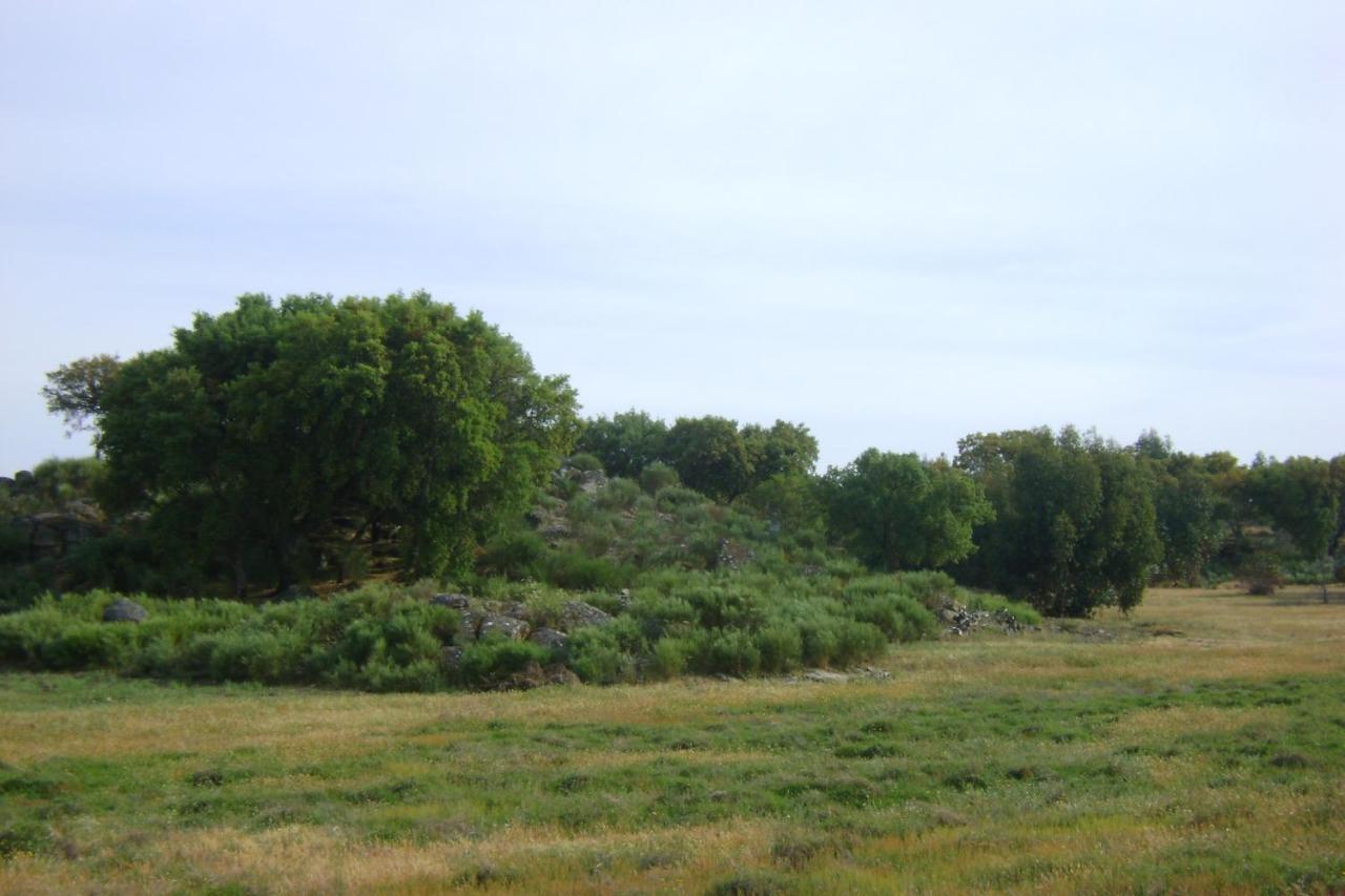 فيلا Tapada Da Beira Marvão المظهر الخارجي الصورة