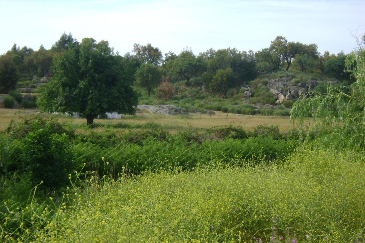 فيلا Tapada Da Beira Marvão المظهر الخارجي الصورة